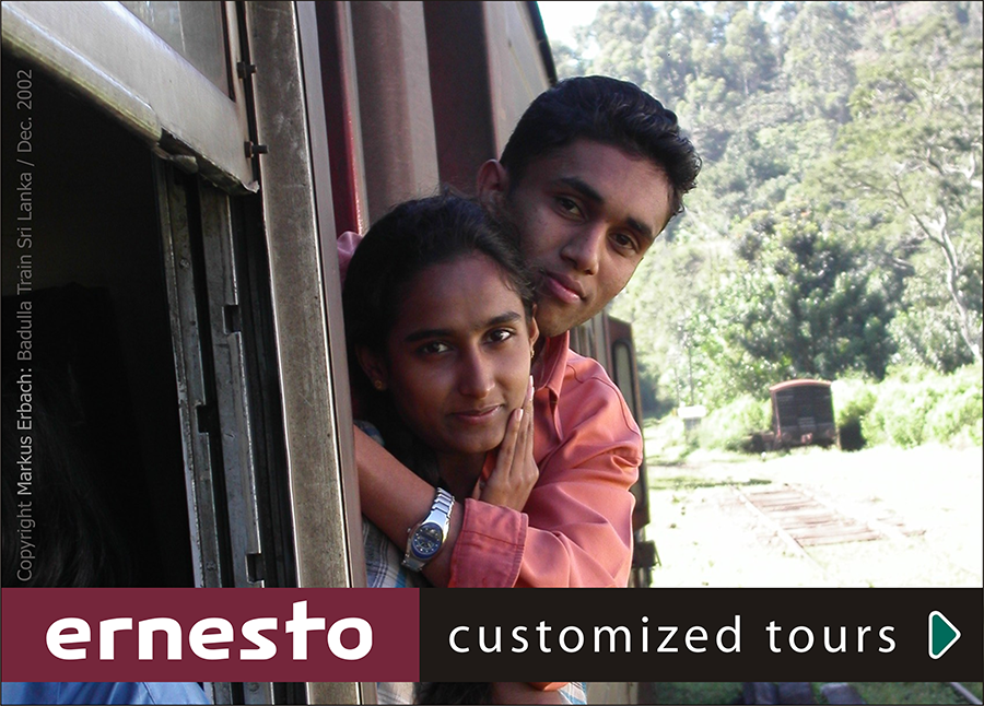 Ernesto Customized Tours