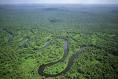 Amazonas Regenwald