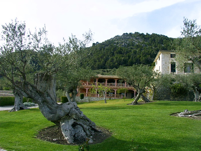 Mallorca - Finca Monnaber Nou